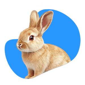 Small pet